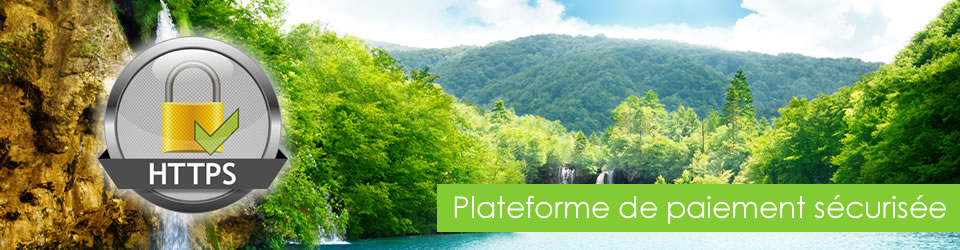 Plateforme de paiement sécurisée Metathesis